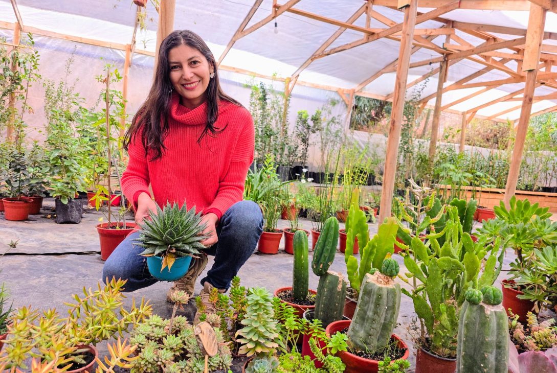 Usuaria de INDAP destaca por integrar un vivero y un miniparque de nogales en Los Vilos: “Los visitantes se reconectan con la naturaleza