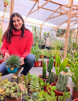 Usuaria de INDAP destaca por integrar un vivero y un miniparque de nogales en Los Vilos: “Los visitantes se reconectan con la naturaleza