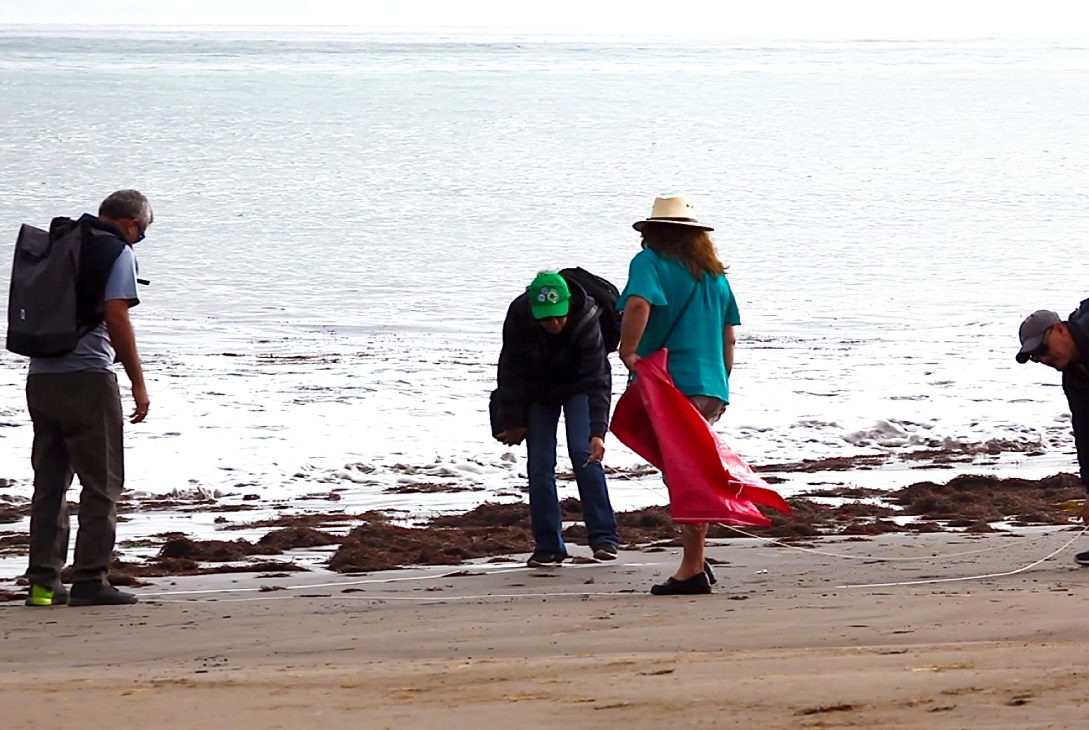 Científicos de la Basura revelan resultados monitoreo participativo de Chile y Latinoamérica