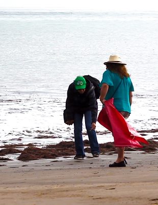 Científicos de la Basura revelan resultados monitoreo participativo de Chile y Latinoamérica