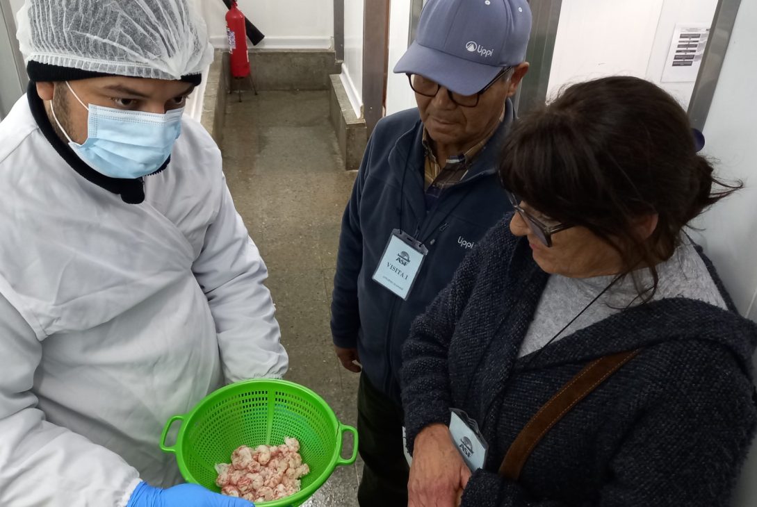 Dirigentes de Juntas de Vecinos de Alto Peñuelas conocen procesos y sistema de tratamientos de RILes en pesquera Antartic Seafood