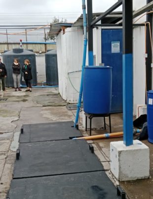 Dirigentes vecinales visitan pesquera Sea Star y valoran inversiones en tratamiento de RILes