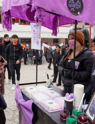Estudiantes de Liceo Ignacio Carrera Pinto de La Serena exponen sus proyectos y emprendimientos