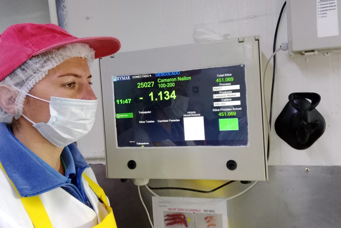 Industria Pesquera de Coquimbo Conquista Mercados Globales con Rigurosas Certificaciones de Calidad y Sostenibilidad