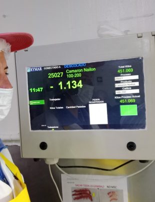 Industria Pesquera de Coquimbo Conquista Mercados Globales con Rigurosas Certificaciones de Calidad y Sostenibilidad