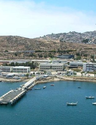 Investigación tecnológica IDeA: UCN adjudica proyectos con impacto en acuicultura