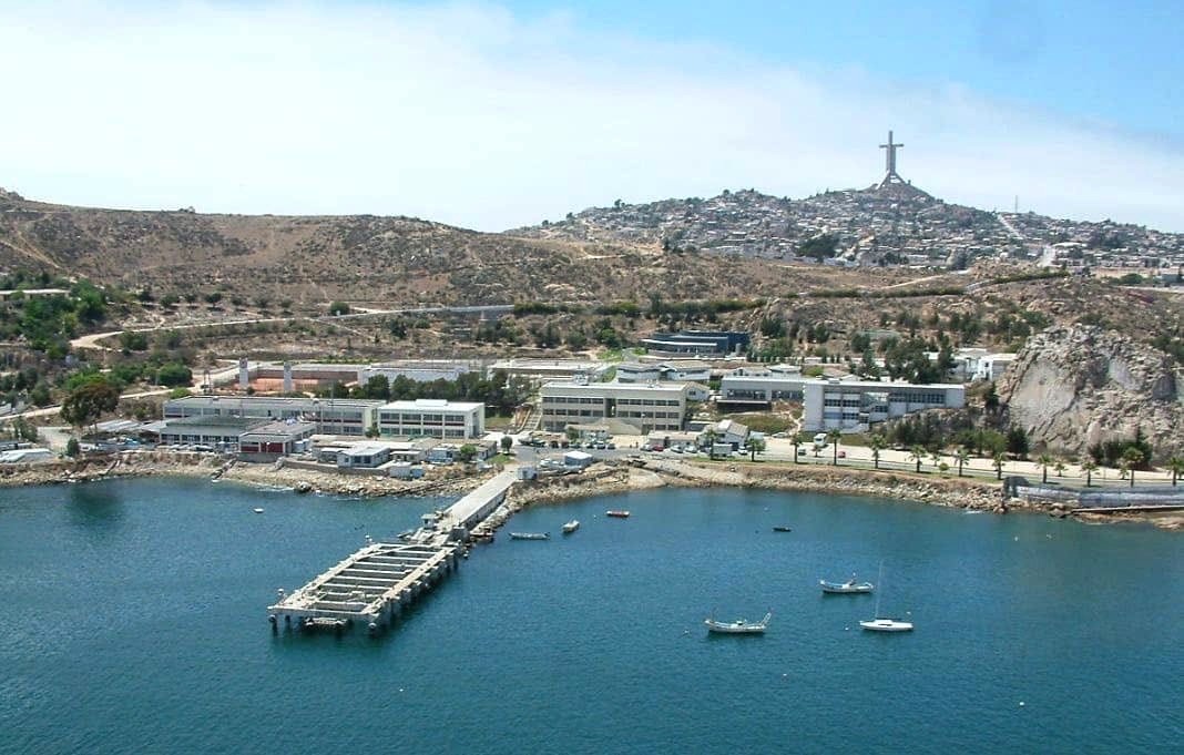 Investigación tecnológica IDeA: UCN adjudica proyectos con impacto en acuicultura