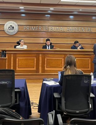 Tribunal Ambiental Ordena Nuevas Diligencias en Caso Sanitaria de Quilimarí