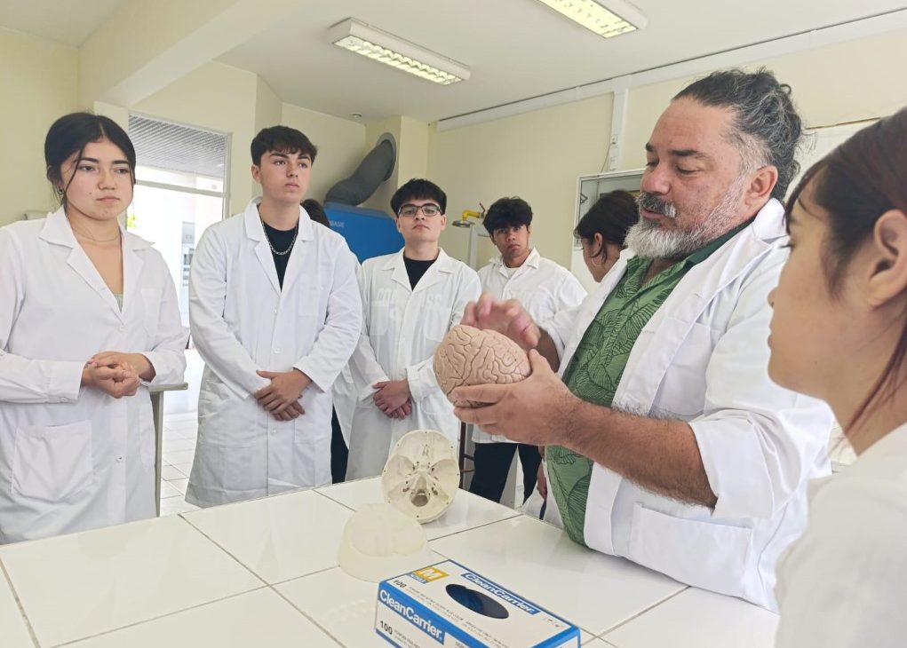 Facultad de Medicina UCN acerca las ciencias de la salud a jóvenes de enseñanza media