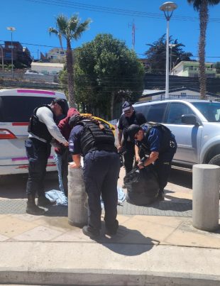 “Operativo Costanera” DISEP, Armada y Carabineros fiscalizan e incautan más de 900 productos de comercio ilegal instalados en el borde costero de Tongoy