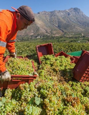 Un Brindis por el futuro: La fórmula de Capel para reescribir la tradición durante 88 años