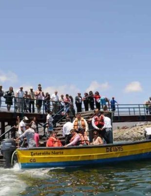 Justicia acoge a trámite recurso de Sindicato de Pescadores de Totoralillo Norte y Dominga recupera su permiso