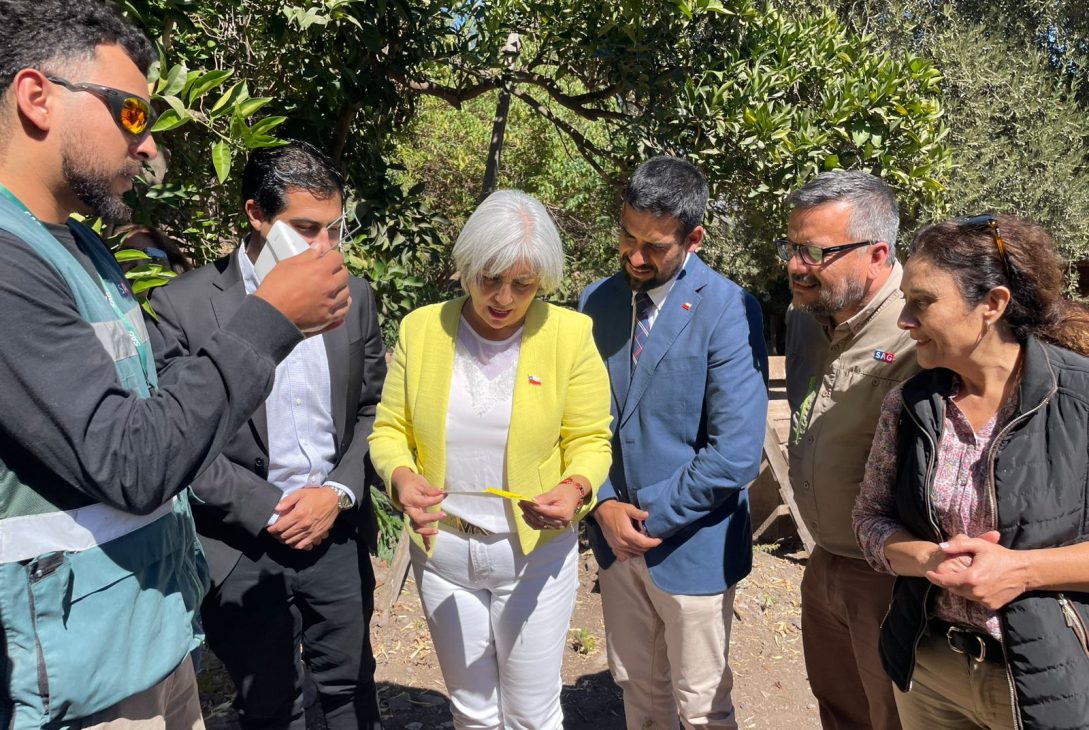 Ovalle recupera su estatus sanitario Comuna es declarada libre de Mosca de la Fruta