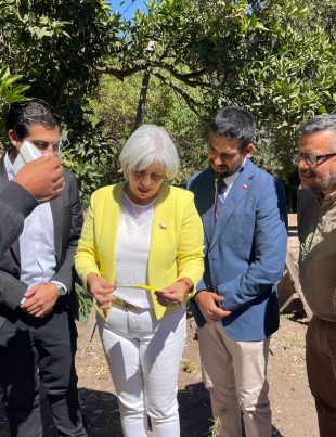 Ovalle recupera su estatus sanitario Comuna es declarada libre de Mosca de la Fruta