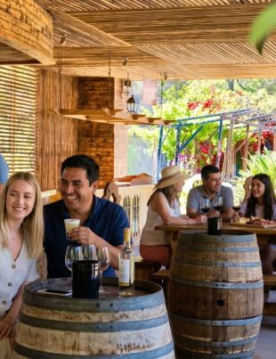 Centro Turístico CAPEL en Vicuña supera los 30 mil visitantes en la última temporada